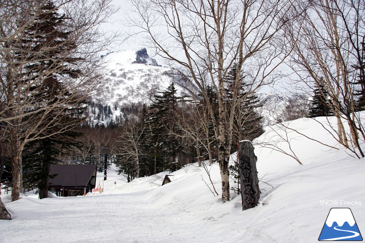 浅川誠 『春キャンプ』 奇跡のパウダースノーと出会う!! in 層雲峡黒岳ロープウェイスキー場